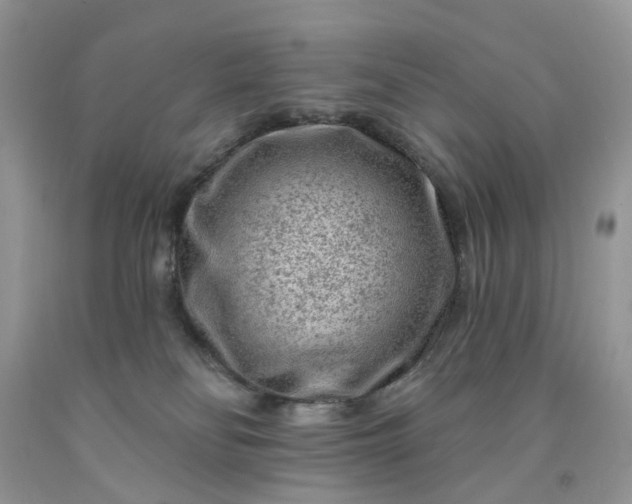 X0000091670134200709061050