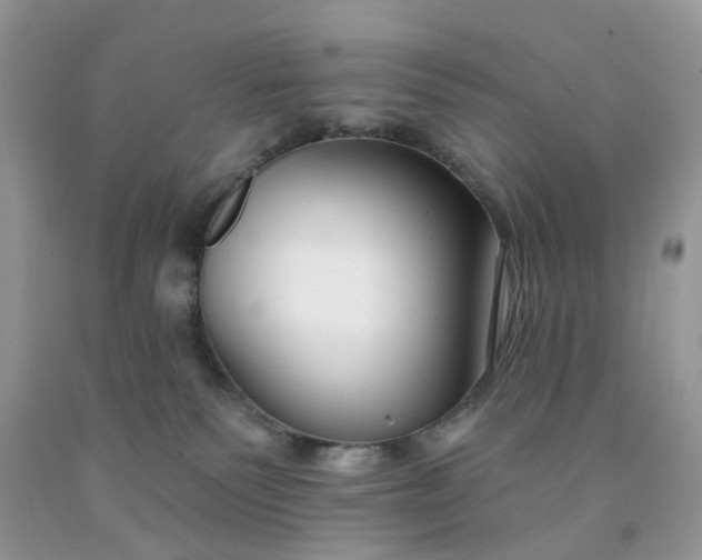 X0000091670135200709061050