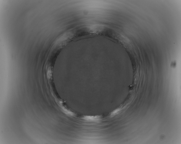 X0000091670137200709061050