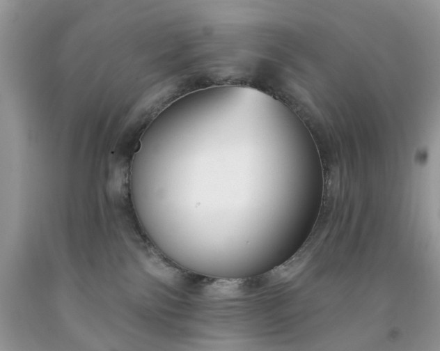 X0000091670138200709061050