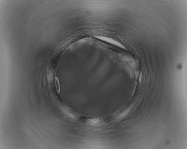 X0000091670139200709061050