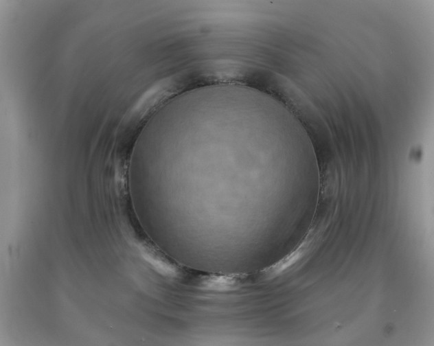 X0000091670140200709061050
