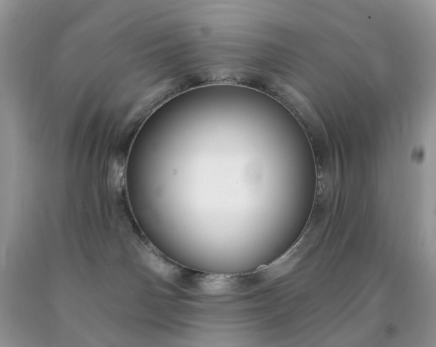 X0000091670142200709061050