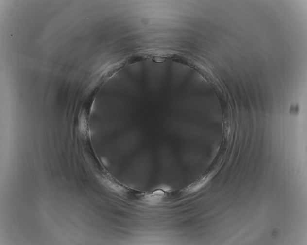 X0000091670143200709061050