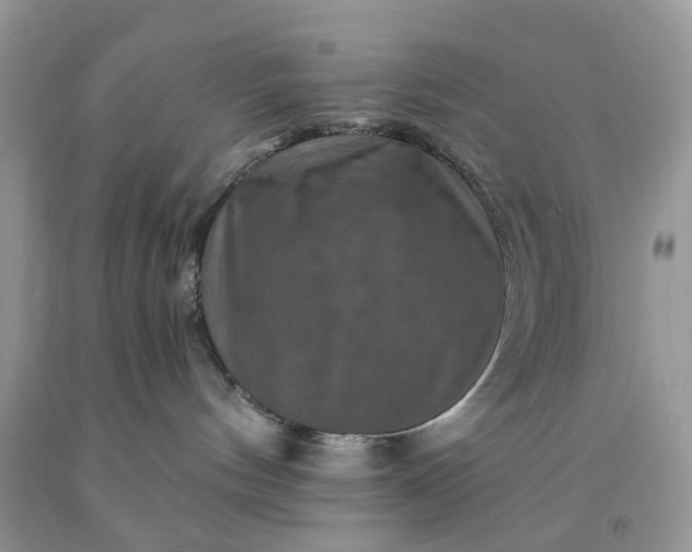 X0000091670144200709061050