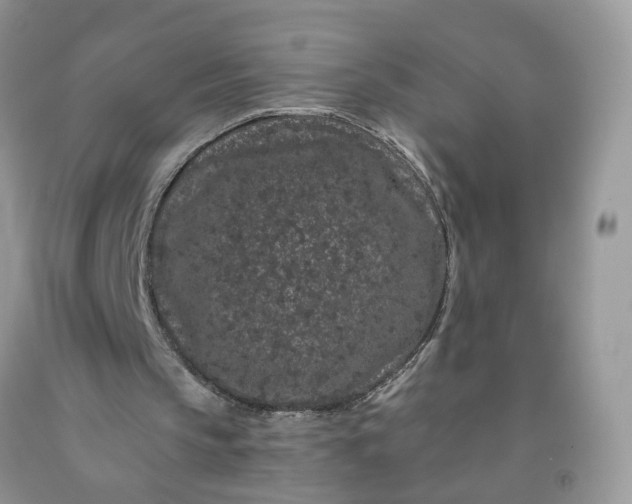 X0000091670145200709061050