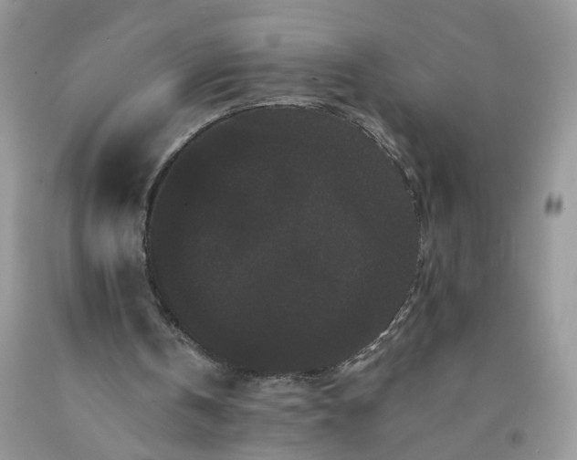 X0000091670146200709061050