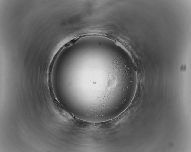 X0000091670148200709061050
