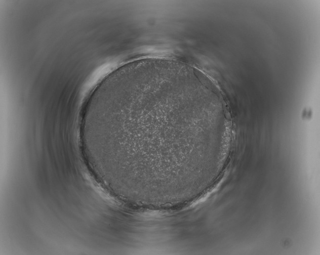 X0000091670149200709061050