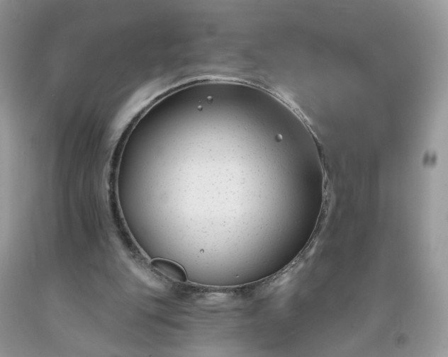 X0000091670151200709061050