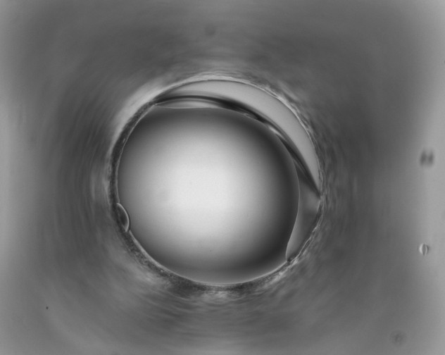 X0000091670152200709061050