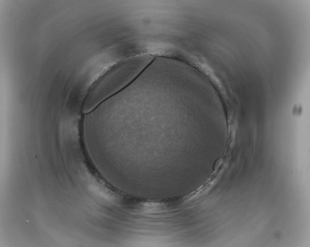 X0000091670154200709061050