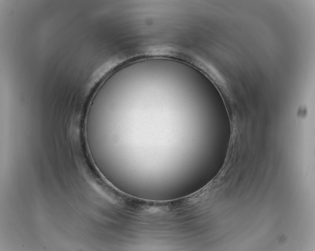 X0000091670155200709061050