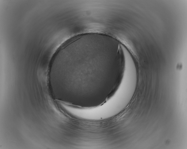 X0000091670156200709061050