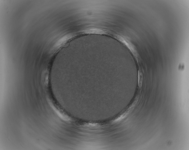X0000091670157200709061050