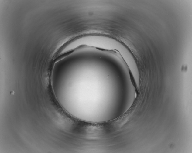 X0000091670160200709061050