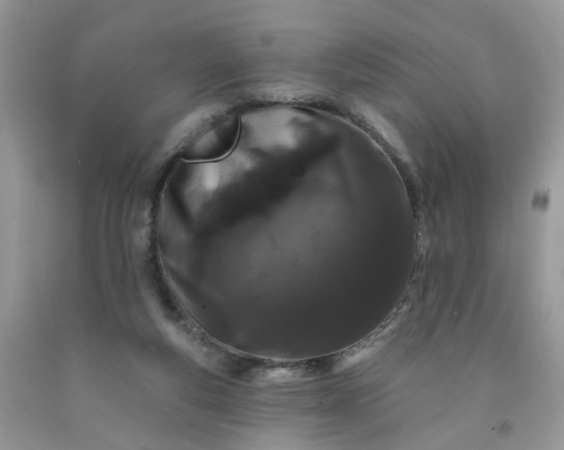 X0000091670163200709061050