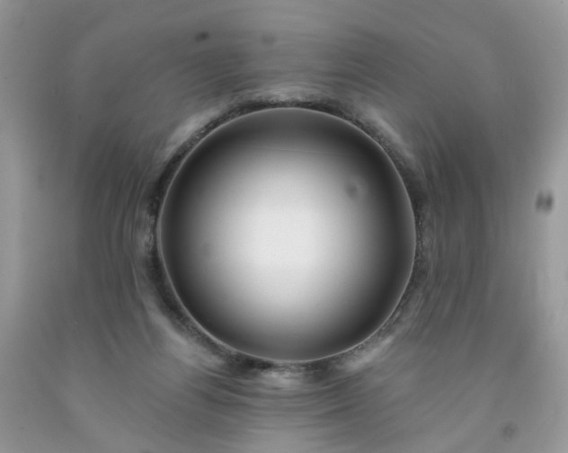 X0000091670164200709061050