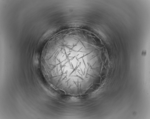 X0000091670166200709061050