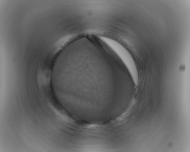 X0000091670168200709061050