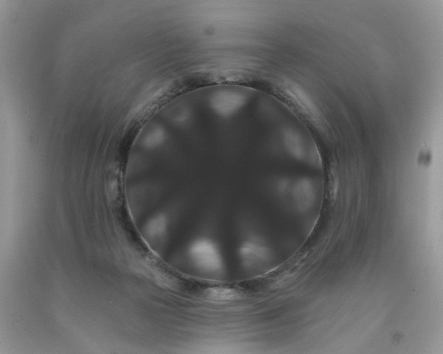 X0000091670169200709061050