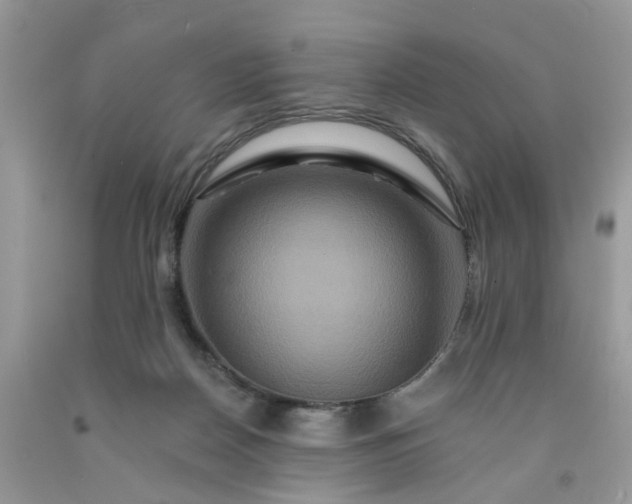 X0000091670170200709061050