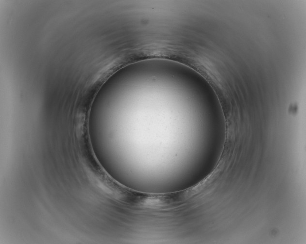 X0000091670171200709061050