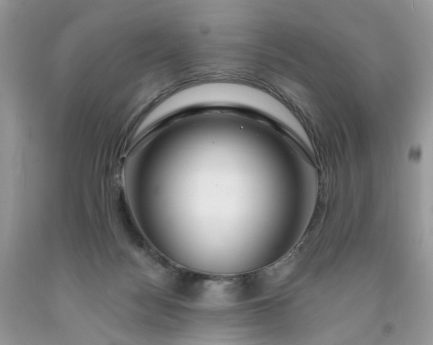 X0000091670172200709061050
