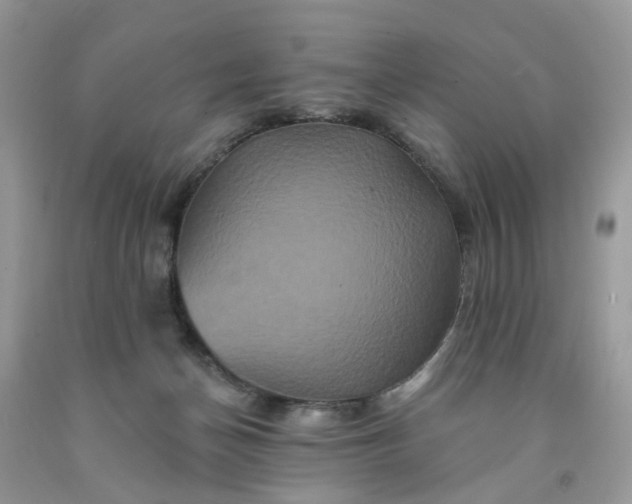 X0000091670174200709061050