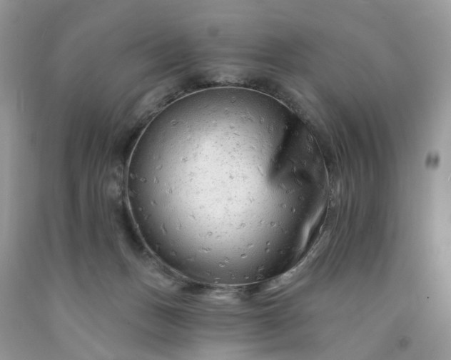 X0000091670175200709061050