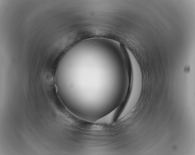 X0000091670176200709061050