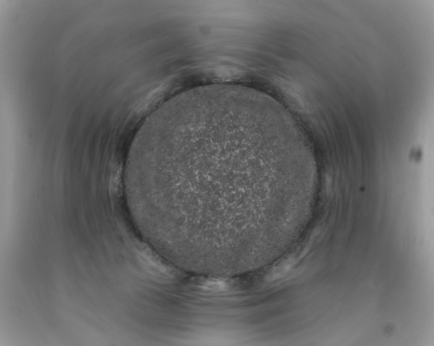 X0000091670177200709061050