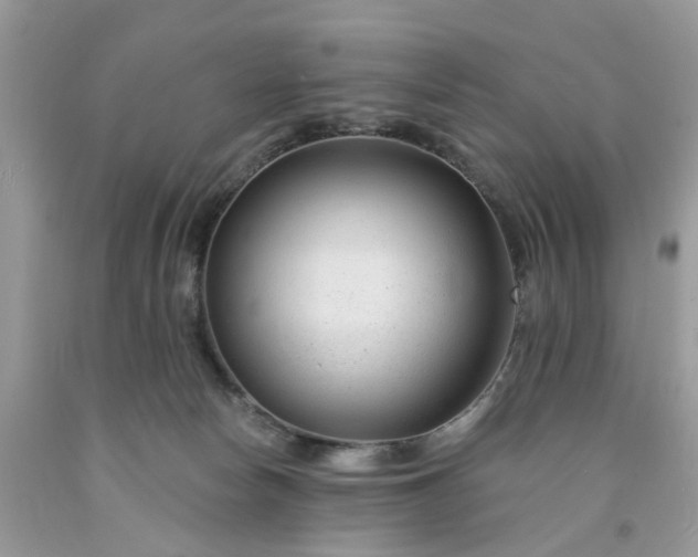 X0000091670178200709061050