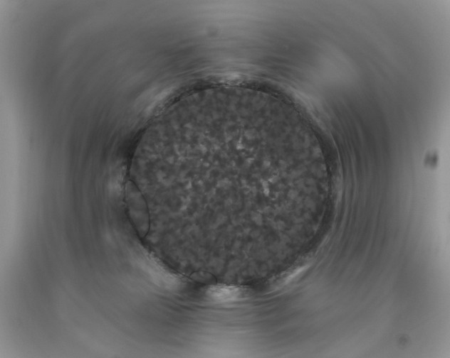 X0000091670181200709061050