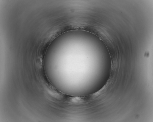 X0000091670183200709061050