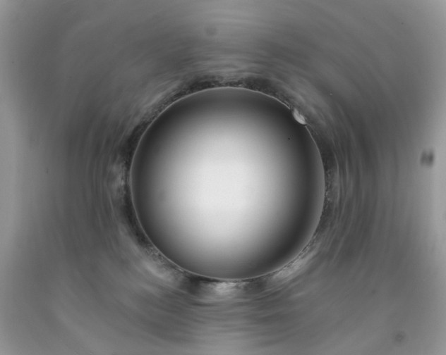 X0000091670184200709061050