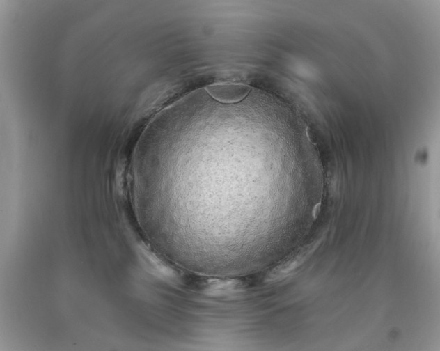 X0000091670185200709061050