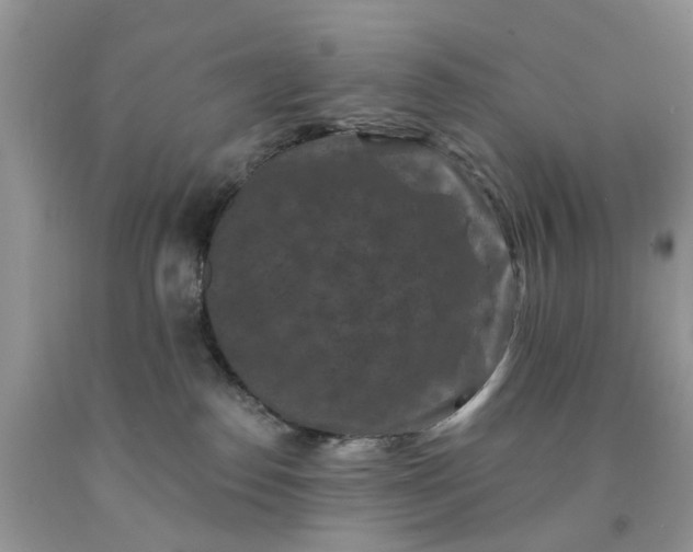X0000091670186200709061050