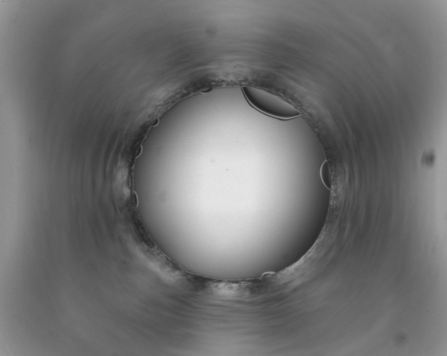 X0000091670187200709061050