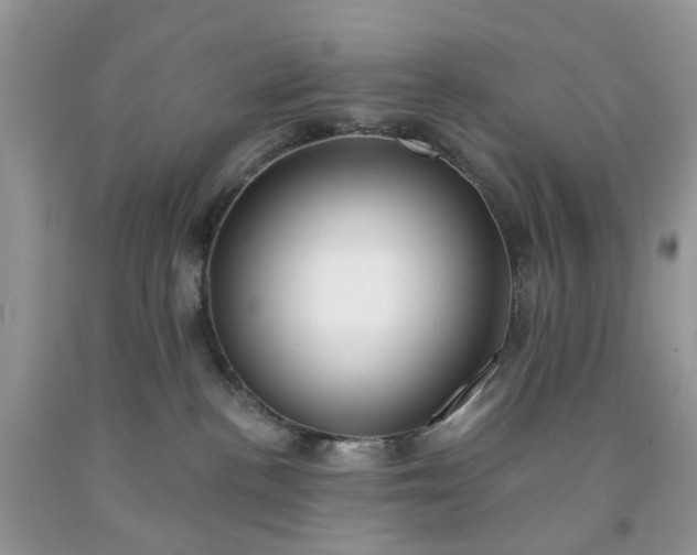 X0000091670188200709061050
