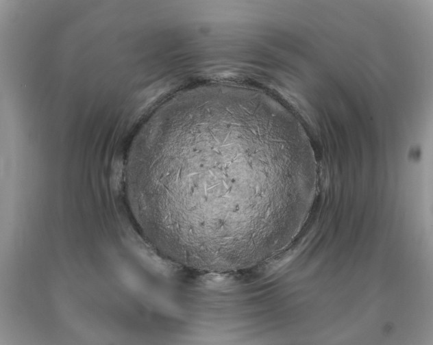 X0000091670189200709061050