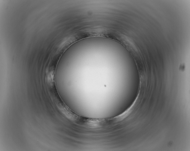 X0000091670190200709061050