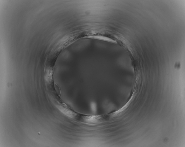 X0000091670191200709061050