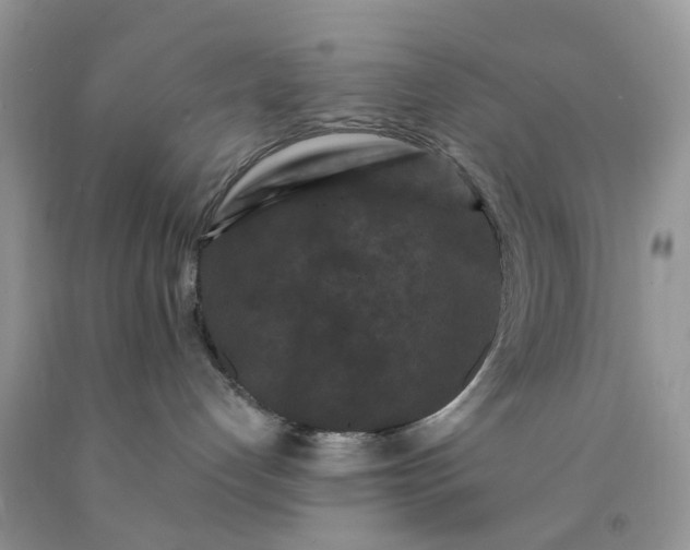 X0000091670192200709061050
