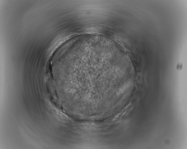 X0000091670194200709061050