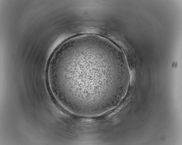 X0000091670195200709061050
