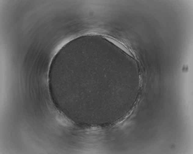 X0000091670196200709061050