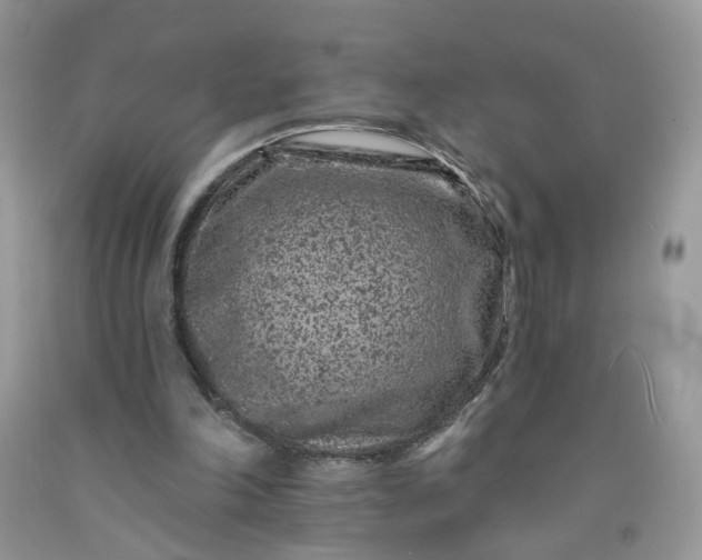 X0000091670198200709061050