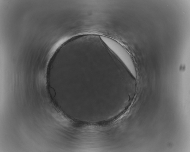 X0000091670200200709061050