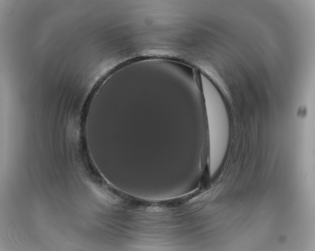 X0000091670204200709061050